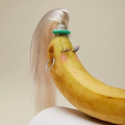 SofiaBonsignor3's profile picture. 