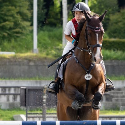 🇳🇱🐴 にこにこだけどあったま痛い！