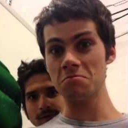 miecstilinski's profile picture. biggest fan of my lord and savior dylan o’brien