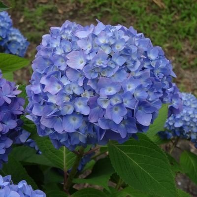 kadorto_kadorto's profile picture. プロデューサーおじさん。騎空士はほぼ引退中。アニメも好きだけど最近は見てる本数少なめ