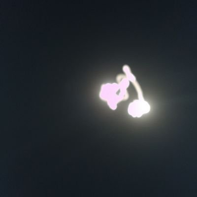 bhatdafook's profile picture. memes abhi ban rahe hai
follow back ki gurantee humari
aap bs follow kijiye

Follow on insta @re.bete.mauj.krdi