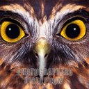 janine Logan - @janinenz1 - Twitter