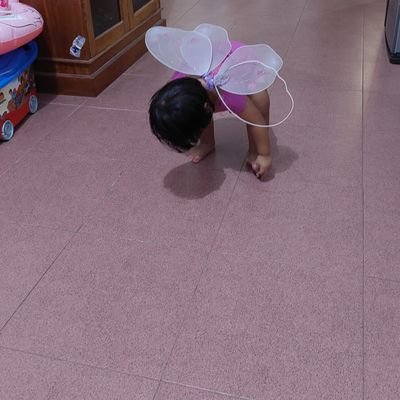 MPomeistia's profile picture. 