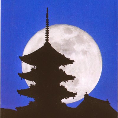 TodamoonCapital's profile picture. 