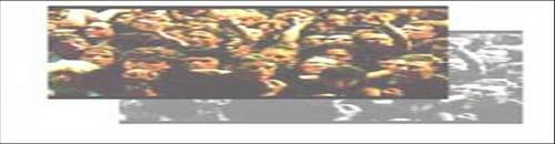 Crowd_Safety's profile picture. 