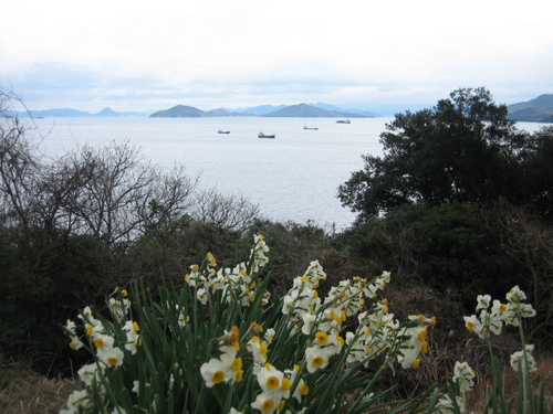 岡山県最南端、瀬戸内海ど真ん中に位置し　灯台から見る燧灘の景色は最高　冬には水仙の香りが島に春を運んできます。
小学生４人幼児５人　高齢者の多い８０人余りの過疎の島です。
公民館の窓から讃岐富士　四国の山々、遠くには瀬戸大橋もみえます。