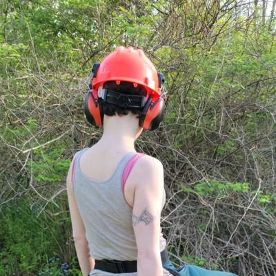 DisasterGibbons's profile picture. Try, try again