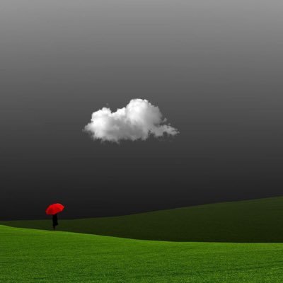 izigro's profile picture. 