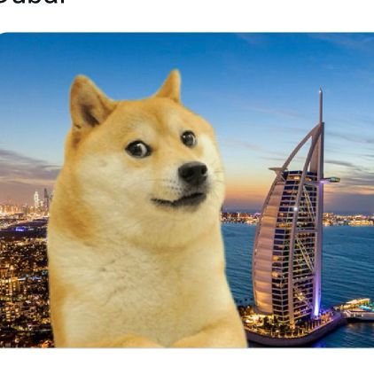 #dogecoinrise