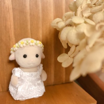 hitumico's profile picture. ミニチュア、シルバニア（ひつじちゃん推し🐑）、サンリオ（マロンクリーム推し）ポケモン、、好きです。よろしくお願いします♪くるみとM