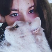 Nerween (@nerween_) 's Twitter Profile