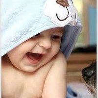 ❤️ Memecoin (@shuroviakter3) 's Twitter Profile