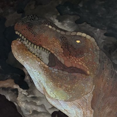 水島 篤 Atsushi Mizushimaさんのプロフィール画像
