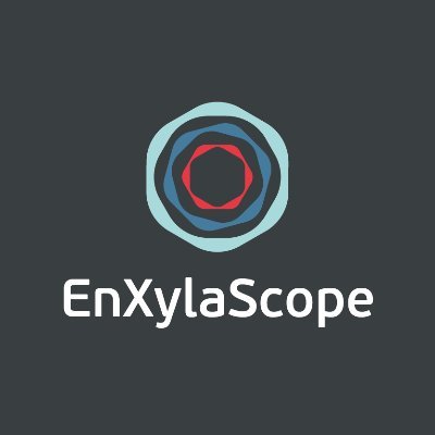 enxylascope Profile Picture