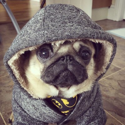 green_cypher's profile picture. I CAN AND I WILL!