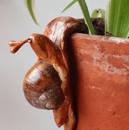 RushbrookeCraft's profile picture. Inspired by nature, fragility of dandelions, and beauty in the decay of seedheads. Unique handmade prints and gifts, made in Norfolk.