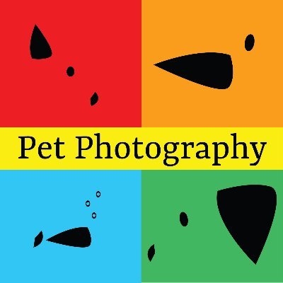 Affordable traveling photographer, taking photos of all this worlds amazing pets and more!
