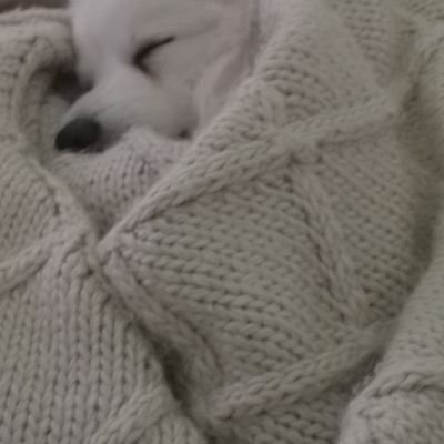 lisaevans1973's profile picture. retweets are not an endorsement, love the Corbyn manifesto, nothing else will do.