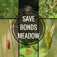 π³ Save Bonds Meadow π³ (@savebondsmeadow) 's Twitter Profile