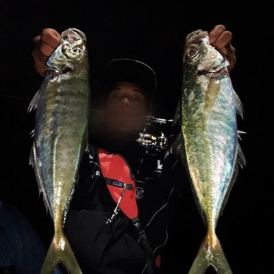 山田釣り日記 Wh フリックシェイクを半分に切るんですな メモメモ 山田釣り日記 Wh フリックシェイクを半分に切るんですな メモメモ
