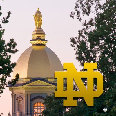 NotreDame Profile Picture