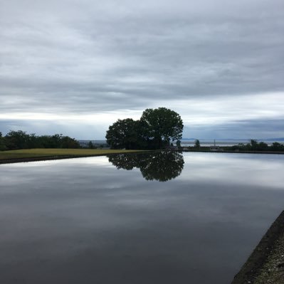 WATACK28's profile picture. ななひかりのすねかじり