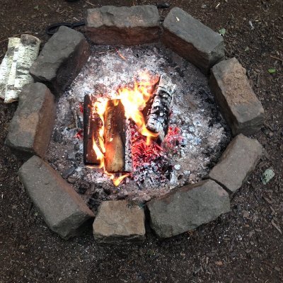 MHLouise3's profile picture. trans Playwright