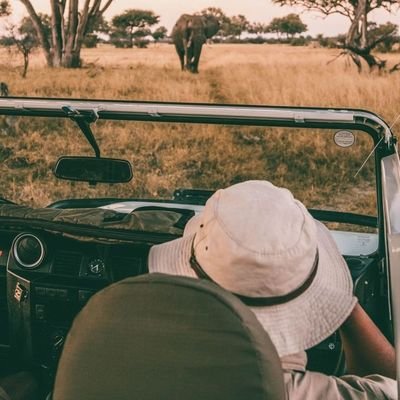 EndframeP's profile picture. 