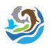 Afonydd Cymru: The Rivers Trust of Wales (@AfonyddCymru) Twitter profile photo