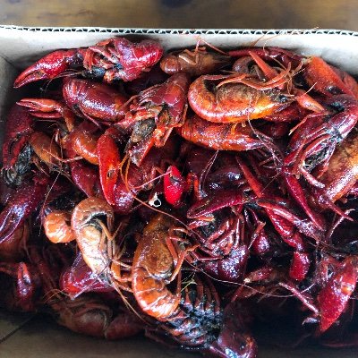 Fishing, boating, camping, good food I don’t read your replies 😁