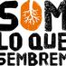 Som lo que Sembrem (@SomLoQueSembrem) Twitter profile photo
