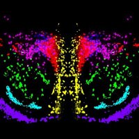 SJurado_LAB (@labsjurado) 's Twitter Profile