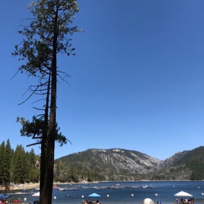 JerryYa64184945's profile picture. 