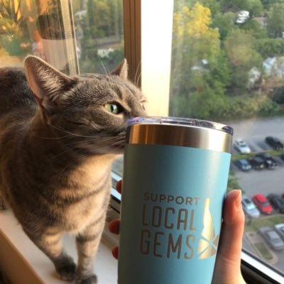 mmboughton's profile picture. Idaho Native with a cat named Goose.