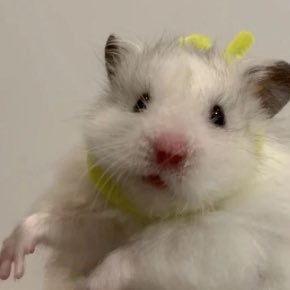 in_yoursum's profile picture. 모든것