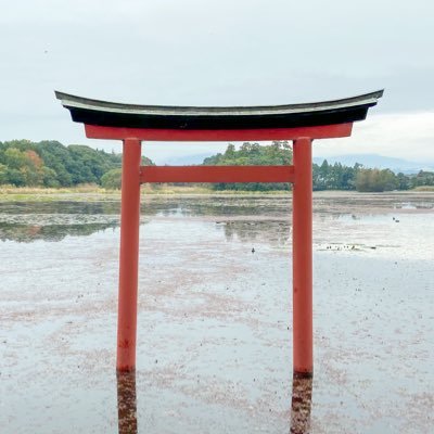 最近福岡県から上京してきたITエンジニアです。 古代史、神社、日本神話が好きで個人的に研究しております。 
連絡はこちら
hatimangu0623jinja@gmail.com