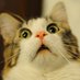 Confused daron (@astresauvage) Twitter profile photo Confused daron (@astresauvage) Twitter profile photo