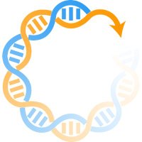 BioSimulations (@bio_sims) 's Twitter Profile