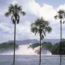 Janine_Watson - @Janine_Watson - Twitter