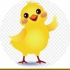 frzz012's profile picture. #تابعني_اتابعك