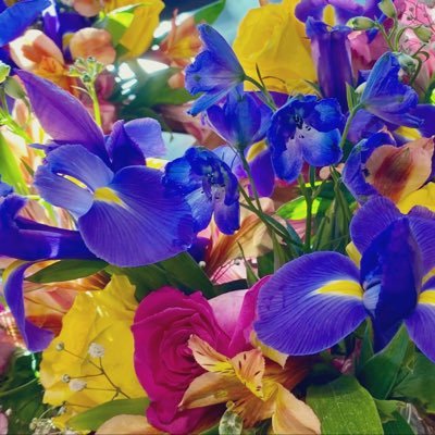 rosa15105979's profile picture. 