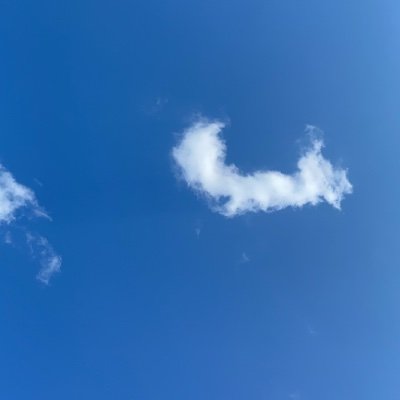 Tyreezyy96's profile picture. Lend me some sugar, I am your neighbor