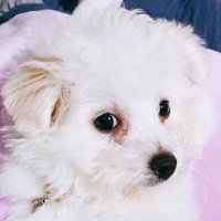 ์ ๊ธฐ๊ณ (@whenkhiscute) 's Twitter Profile Photo ์ ๊ธฐ๊ณ (@whenkhiscute) 's Twitter Profile Photo
