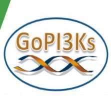 GoPI3Ks Profile Picture