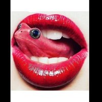 CREDO_QUE_DELICIA (@seloko_atividad) 's Twitter Profile Photo