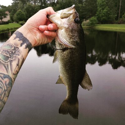 Living with an Autism Spectrum Disorder
Slaying Big Bass On Ultralight Tackle 
**Autism Awareness** 
Instagram @Ultralight_Bass_Hunter
Bass Pro Affiliate