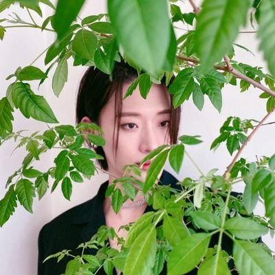 drgratata's profile picture. 1st/2nd gen stan that struggles with 4th gen 💃