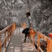Ganesh (@shriganeshad117) Twitter profile photo Ganesh (@shriganeshad117) Twitter profile photo