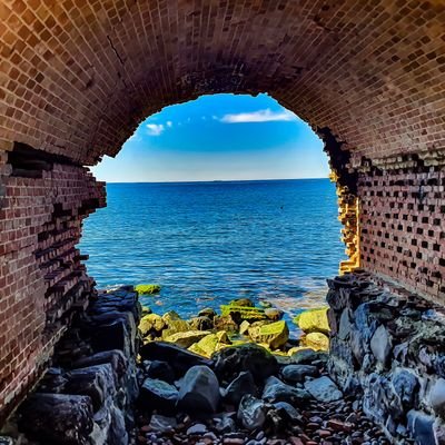 guriktrader's profile picture. 