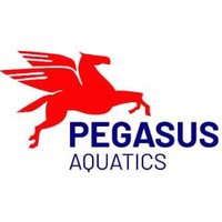 Pegasus Aquatics(@PegasusWPA) 's Twitter Profile Photo